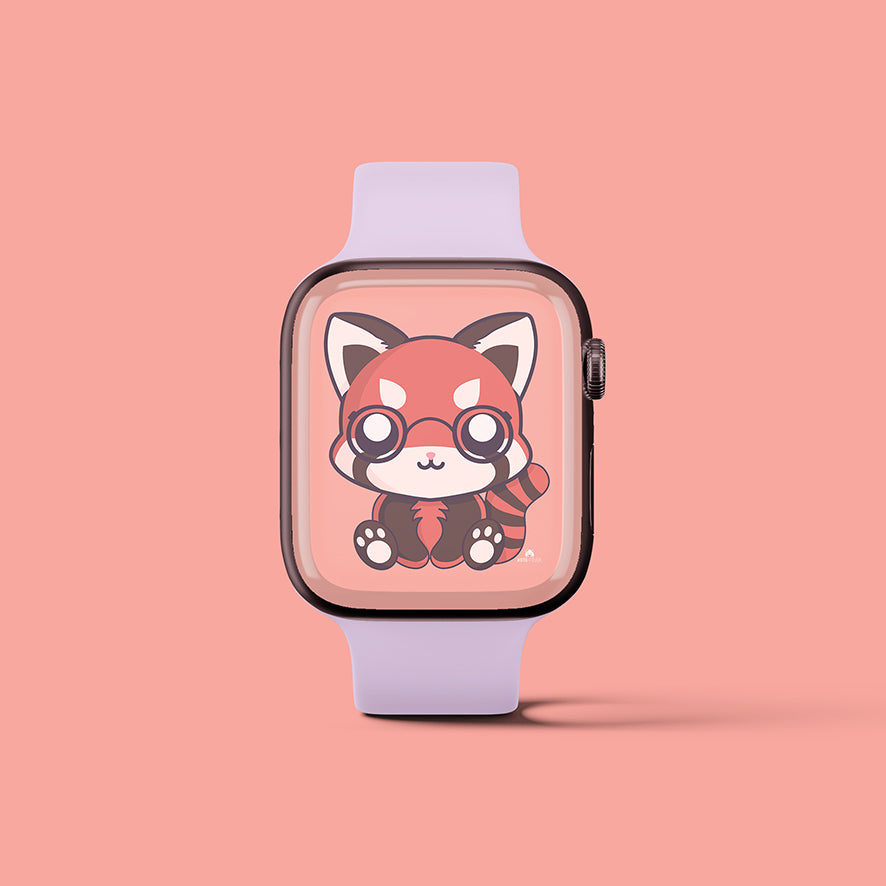 Smartwatch Combo Pack